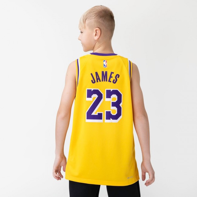 Lebron james official lakers jersey hot sale