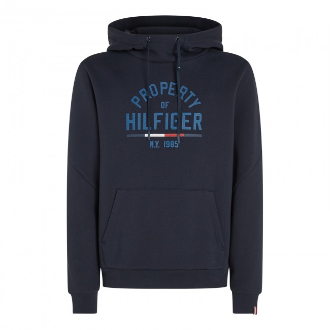 Logo hoody tommy hilfiger cheap