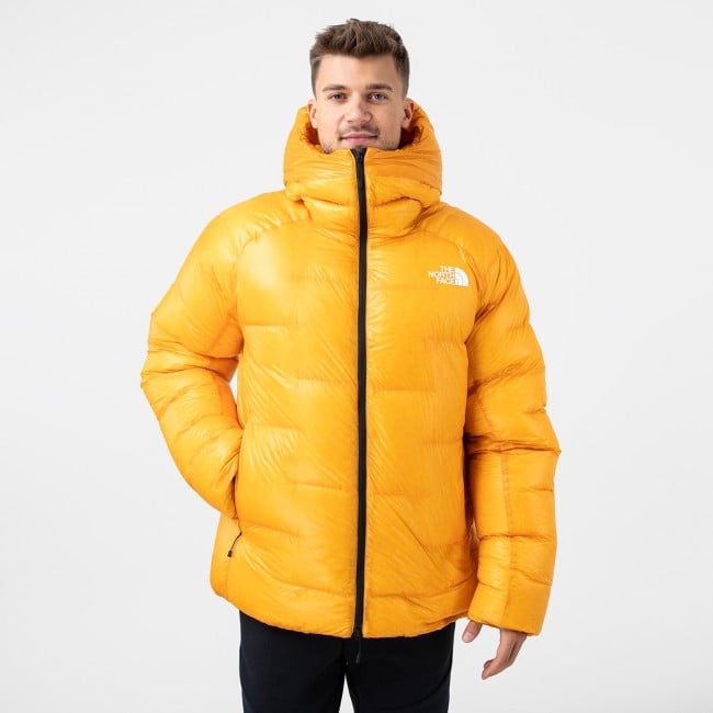 North face down parka mens online